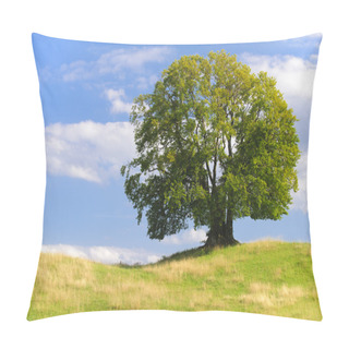 Personality  Big Old Beech Tree Pillow Covers