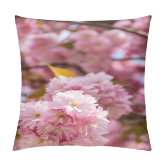 Personality  Macro Photo Of Blooming Pink Flowers Of Cherry Tree Pillow Covers
