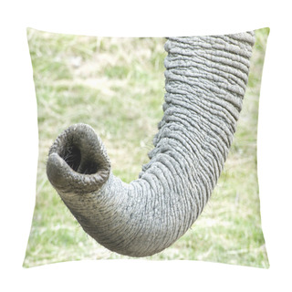 Personality  African Elephant Trunk Pillow Covers