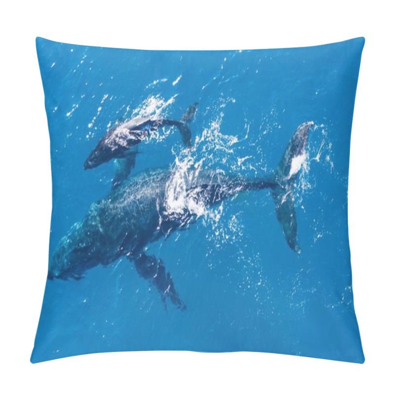 Personality  Humpback whales photographed from above with aerial drone off the coast of Kapalua, Hawaii. Mother whale and calf splash in the warm Pacific waters pillow covers