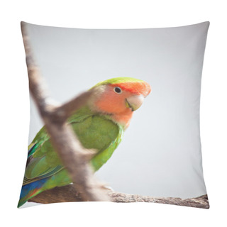 Personality  Lovebird Pillow Covers