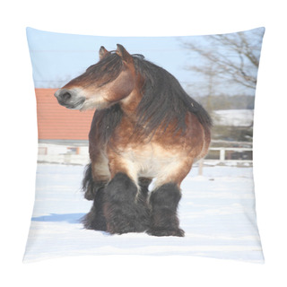 Personality  Dutch Draught Horse Stallion In Winter Pillow Covers