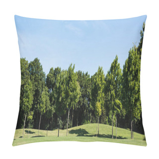 Personality  Panoramic Shot Of Trees With Green Leaves On Green Grass Against Blue Sky In Park Pillow Covers