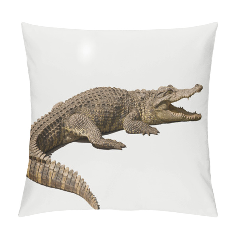 Personality  Chongqing Crocodile Crocodile Pool Center Pillow Covers