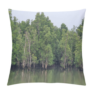 Personality  A Tranquil Body Of Water Reflects The Lush Green Canopy Of Surrounding Trees, Creating A Peaceful And Secluded Oasis In The Heart Of The Forest. Chantaburi Thailand  Pillow Covers