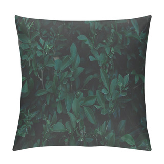 Personality  Green Leaves Pattern Background. Flat Lay. Nature Dark Green Ton Pillow Covers