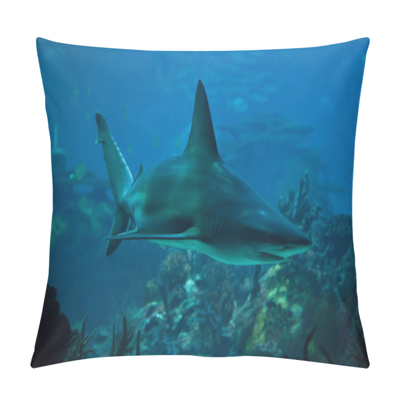 Personality  Sandbar Shark (Carcharhinus Plumbeus) Pillow Covers