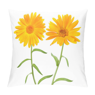 Personality  Marigold Pillow Covers