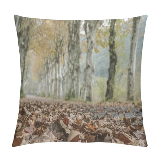 Personality  Dried Leaves On A Country Road Surrounded By Trees In Autumn Pillow Covers