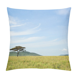 Personality  An Acacia Tree In A Savannah Pillow Covers