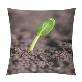 Personality  Green Plant In Soil, Close-up View  Pillow Covers