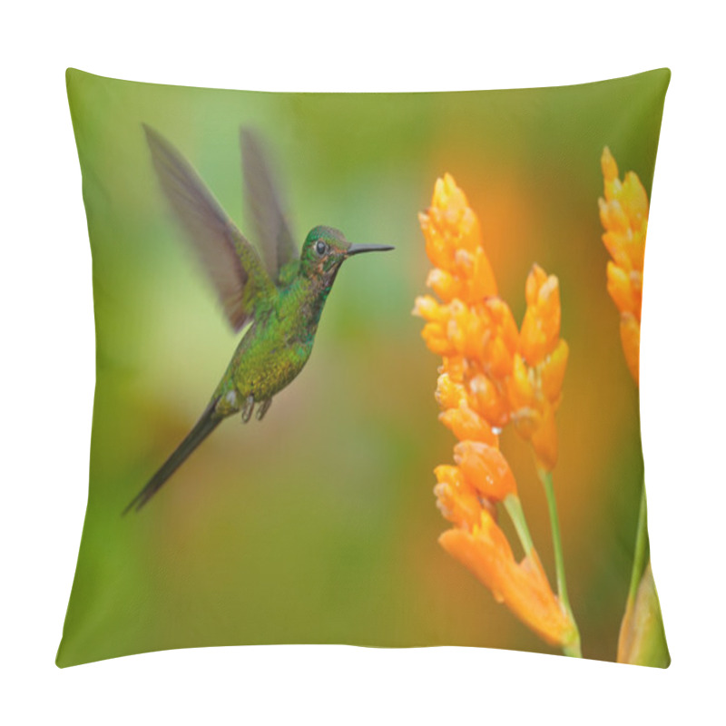 Personality  Empress brilliant hummingbird pillow covers