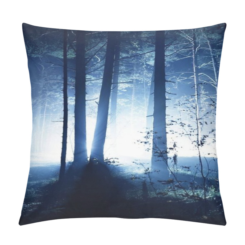 Personality  Sunlight. Foggy morning in the pine forest. A grass, plants and trees close-up, Cenas tirelis, Latvia pillow covers