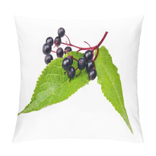 Personality  Elderberry Pillow Covers