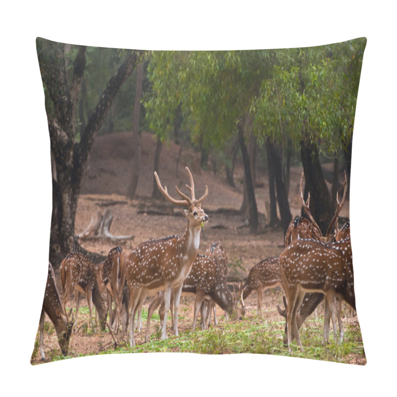 Personality  Herd of spotted deer pillow covers