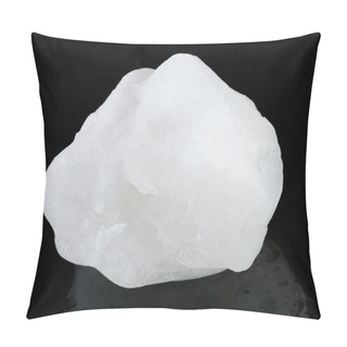 Personality  Snowball In The Studio Pillow Covers