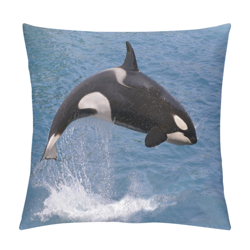 Personality  Killer whale jumping out of water pillow covers