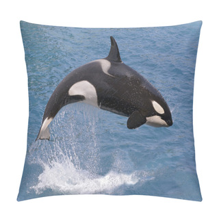 Personality  Killer Whale Jumping Out Of Water Pillow Covers