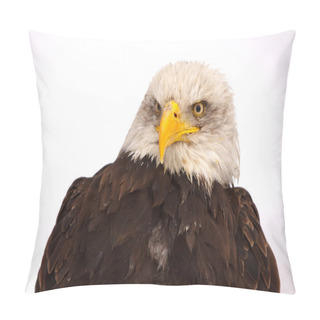 Personality  Eagle Silhouette Pillow Covers
