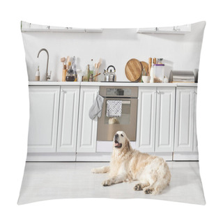 Personality  A Peaceful Labrador Dog Lays Comfortably On The Kitchen Floor, Basking In The Warmth Of The Room. Pillow Covers
