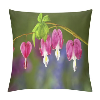 Personality  Beautiful Bleeding Heart Blooms Pillow Covers