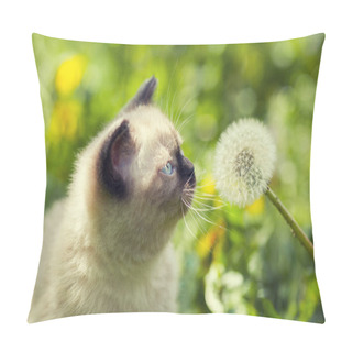 Personality  Kitten On The Dandelion Lawn Pillow Covers