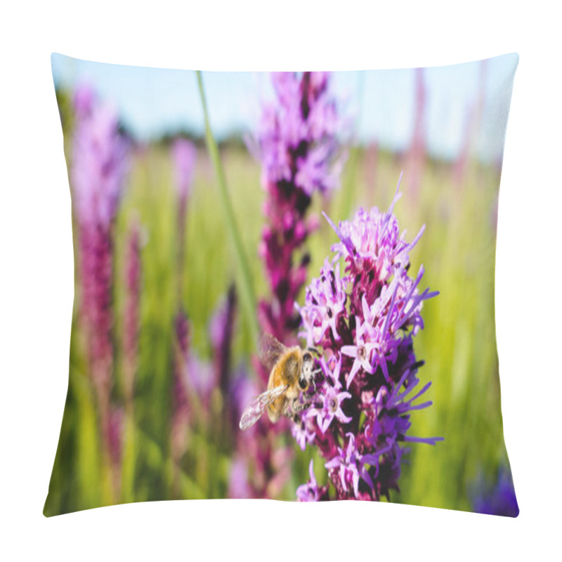 Personality  Western honey bee (Apis mellifera) lands on a prairie blazing star for nectar. pillow covers