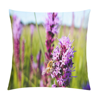 Personality Western Honey Bee (Apis Mellifera) Lands On A Prairie Blazing Star For Nectar. Pillow Covers