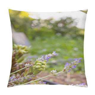 Personality  Lavender And Succulent Plant Pillow Covers