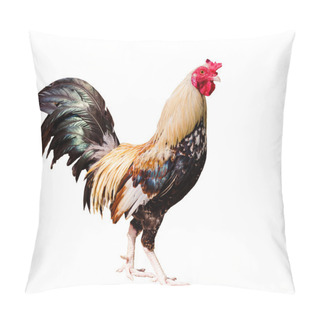 Personality  Chicken On White Background Pillow Covers