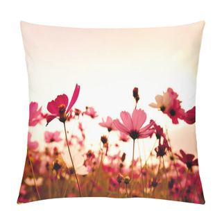Personality  Cosmos Flowers In Sunset Pillow Covers