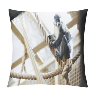 Personality  Wild Monkey Sitting On Ropes In Zoo With Blurred Foreground  Pillow Covers