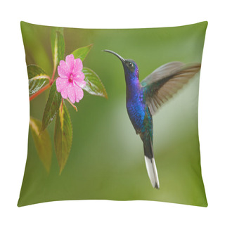 Personality  Hummingbird Violet Sabrewing Pillow Covers