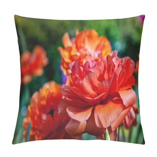 Personality  Ranunculus Pillow Covers