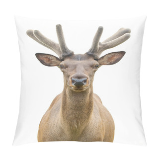 Personality  Young Deer Pillow Covers