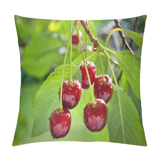 Personality  Sour Cherries Pillow Covers