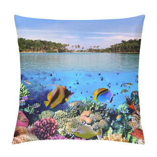 Personality  Photo Of A Coral Colony Pillow Covers