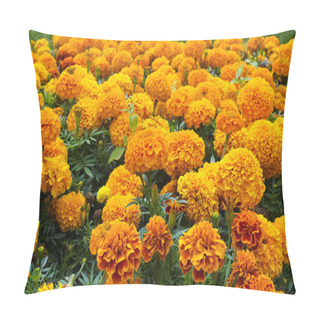 Personality  Flowerbed Of Orange Marigolds Pillow Covers