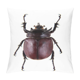 Personality  Rhinoceros Beetle On The White Background Pillow Covers