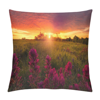 Personality  Rural Texas Indian Paintbrushes  At Sunrise Pillow Covers