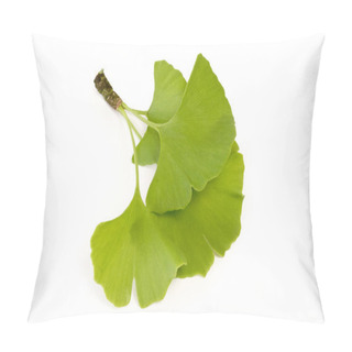 Personality  Ginkgo Tree Leaves Foliage Pillow Covers