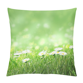 Personality  Daisies In The Grass, Pillow Covers