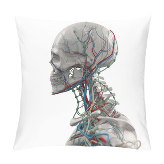 Personality  Human Anatomy Porcelain Skeleton Side View With Veins On Plain White Background. Pillow Covers