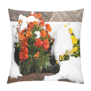 Personality  Trees, Mountain Paths Under The First Snow On The Lake Of Carezza In Trentino Alto Adige In Italy Pillow Covers