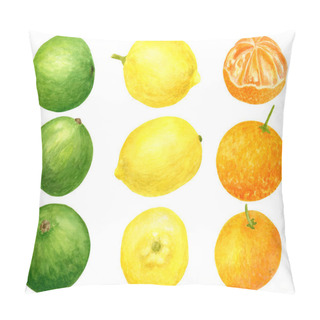 Personality  Watercolor Fresh Lemon, Tangerine And Lime Set. Hand Drawn Botanical Illustration Of Yellow, Orange And Green Citrus Fruits Isolated On White Background. Clipart For Design And Decor, Package, Cards. Pillow Covers