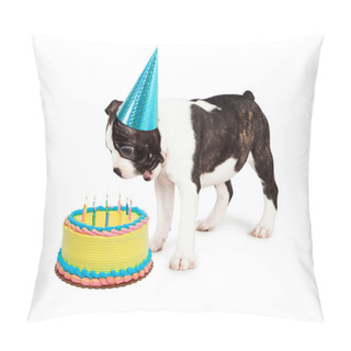 Personality  Boston Terrier Puppy Blowing Out Candles Pillow Covers