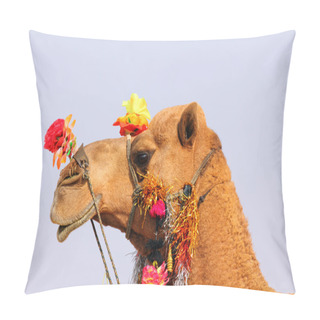 Personality  Camel During Festival In Pushkar Pillow Covers