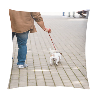 Personality  Back View Of Man In Jeans Walking Along Pavement With Jack Russell Terrier Dog On Leash Pillow Covers