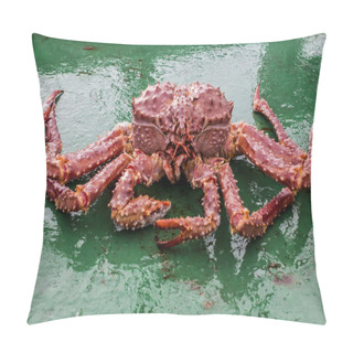 Personality  Golden King Crab Pillow Covers