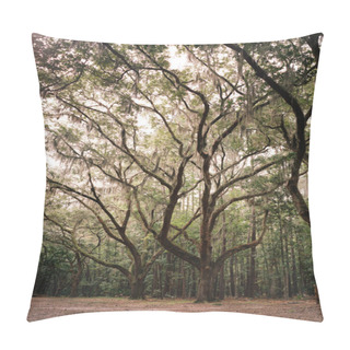 Personality  Southern Live Oaks With Spanish Moss Reach For The Heavens  Pillow Covers